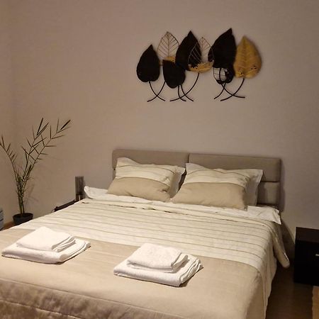 Mosaic Studio Brašov Exteriér fotografie